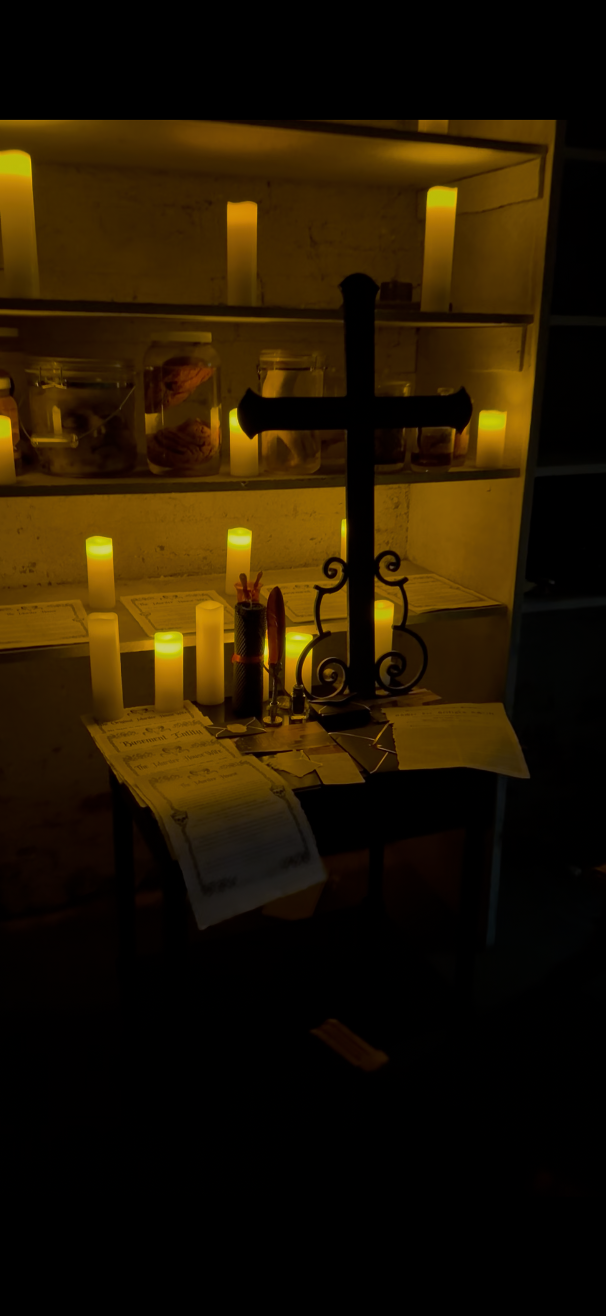 The Murder HouseWife, keeper of the house and its voices